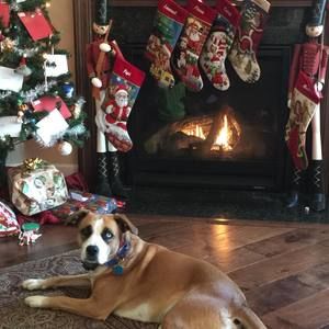 Meet your Posher, Gilberto